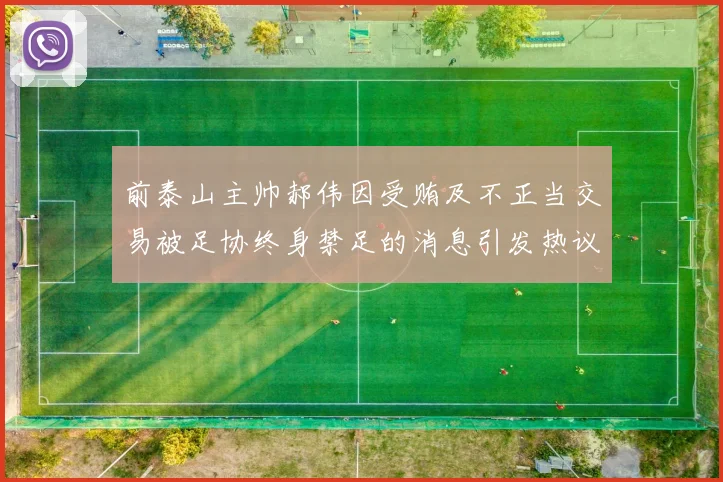 前泰山主帅郝伟因受贿及不正当交易被足协终身禁足的消息引发热议