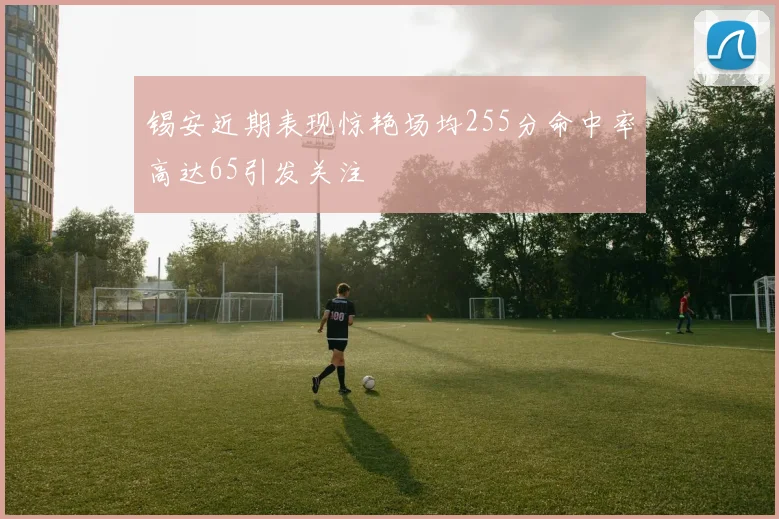 锡安近期表现惊艳场均255分命中率高达65引发关注