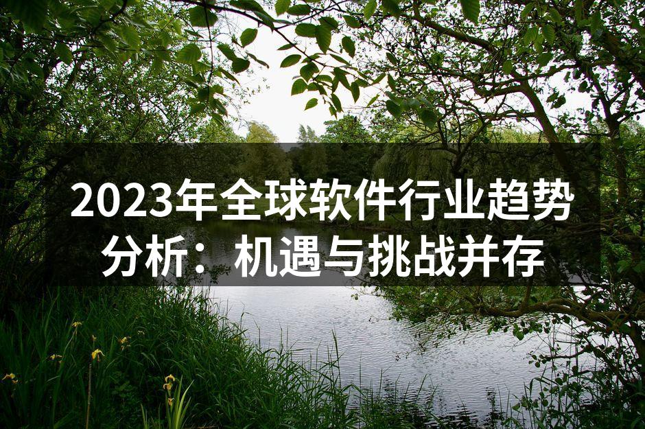 2023年全球软件行业趋势分析：机遇与挑